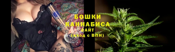 ГАЛЛЮЦИНОГЕННЫЕ ГРИБЫ Балахна