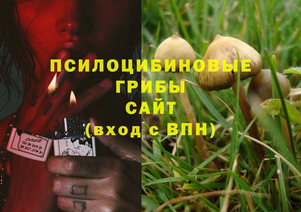 индика Балабаново