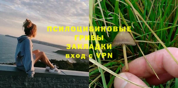 трава Баксан