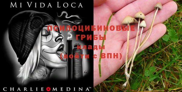 ГАЛЛЮЦИНОГЕННЫЕ ГРИБЫ Балахна