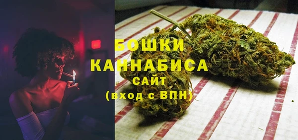 ГАЛЛЮЦИНОГЕННЫЕ ГРИБЫ Балахна