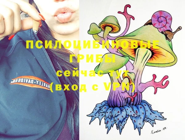 ГАЛЛЮЦИНОГЕННЫЕ ГРИБЫ Балахна