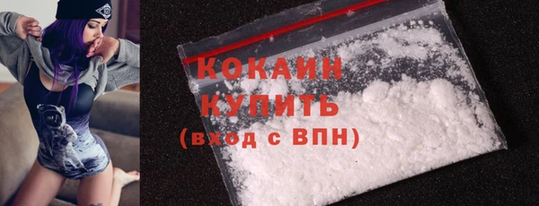 индика Балабаново