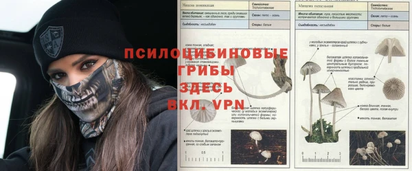 индика Балабаново